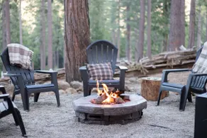 The Plaid Haus | Hottub • Firepit •Theatre • Dogs - Image 3