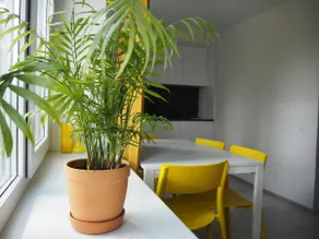 Sunny apartment with lake and forest view - Image 3