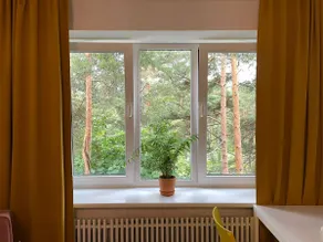 Sunny apartment with lake and forest view - Image 4