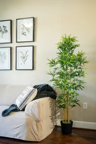 Luxurious Apt Fully Furnished! - Image 5
