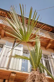 CasaOTTO@BELVEDEREinLAMORRA - Image 2