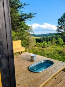 Modern Tiny Cabin + Sauna/Hot Tub | Mtn Views - Image 4