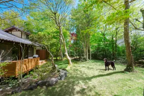 Private House with Hot Spring, Dedicated Dog run - Image 4