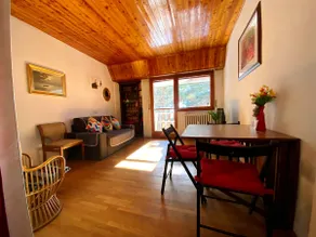 SKI SLOPES • Vintage Cottage - Image 5