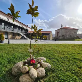 Alqueiturismo - Superior Apartment - Image 5