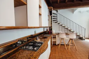 Mantuan House Palazzo Te - Image 4