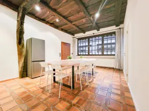Tolstov House - 6 Room House with Terrace and Parking - 30 Min Messe DUS - Image 3