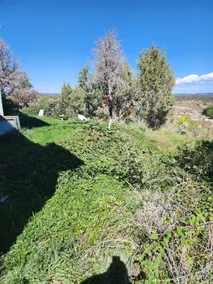 South Mesa Cottage - Image 3