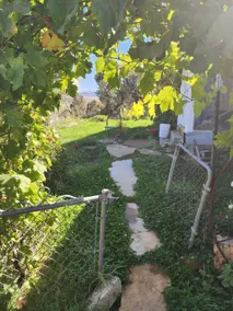 South Mesa Cottage - Image 2