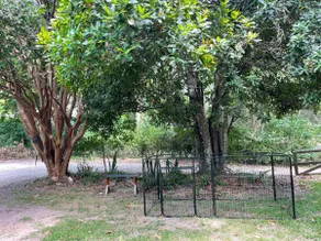 Natasha's Nest Haven Farmstay - Image 3