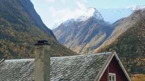 Cozy Cabin „Cherry“ - Image 2