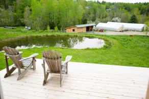 The Gourmet Cabin at Stitchdown Farm - Image 5