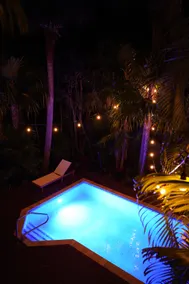 Private Pool Oasis - Centrally Located in Florida Keys - Image 5