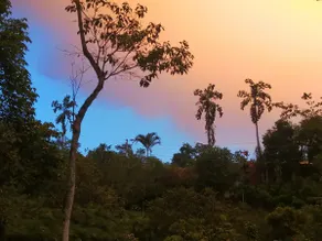 La Celeste - Image 2