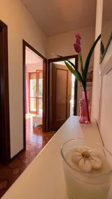 Elvira's house - Image 2