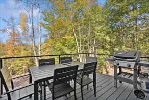 New modern cabin-contemporary design meets nature - Image 5