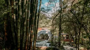 Brakiarias Bamboo Home - Image 5
