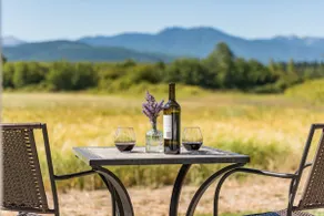 Secluded - Farmland and Mountain VIEW - King Suite - Image 4