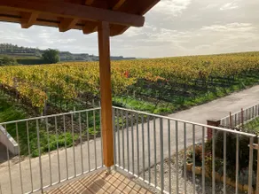 Chalet Charmant-Santelmann - Image 2