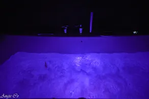 Le Pailler Loft with Jacuzzi - Image 3