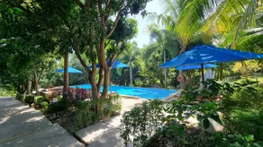 PawPaw Resort - Garden view bungalow 16 - Image 3