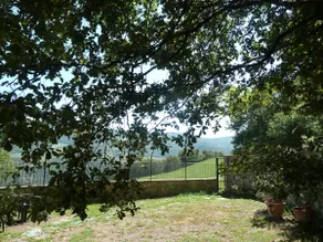 Belvedere Country House - apartment in stone farmhouse - Image 3
