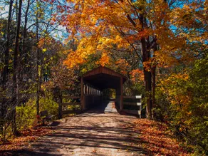 Close to SouthHaven/Trail Cozy home dog friendly - Image 3