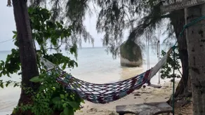 PawPaw Resort - Swimming pool view bungalow 9 - Image 4