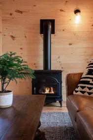 Modern Mountain Chalet! Hike, Ski, Swim, and Treasure Hunt! - Image 3