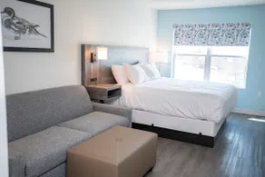 Luxurious Studio with King bed, Kitchen - The Nest - Image 2