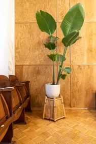 Stay at a café | Designer Apartment - Image 5