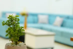 Priyawoodz Homestay executive Family stay Tirupati - Image 5