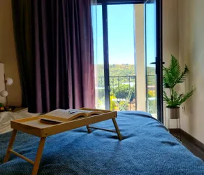 Nature View Designer Studio - Image 2