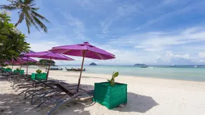 Superior Suite | Resort Access, Pool & Breakfast - Image 2