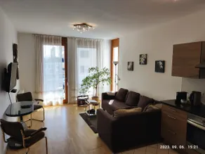 Danube's view, balcony, free parking WI-FI Netflix - Image 2