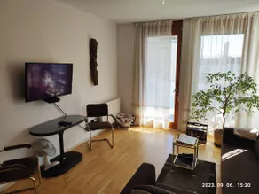 Danube's view, balcony, free parking WI-FI Netflix - Image 4