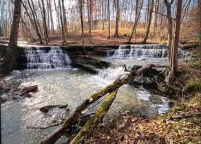 Nature’s Treasure at Deer Ridge - Image 3