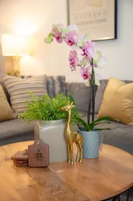 Modern & Cozy 2 BEDS Luxury Home. Near LA/Disney - Image 3