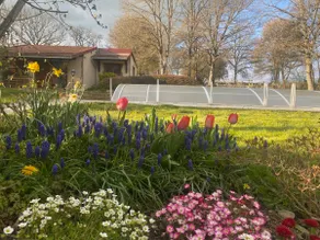 Independent accommodation in a green setting - Image 2
