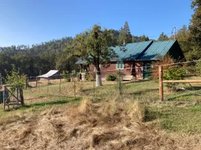 Gilham Cabin - Image 3