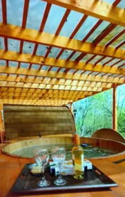 Peñaflor Glamping Cabins - Image 3