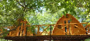 Peñaflor Glamping Cabins - Image 4