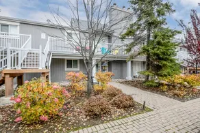 Alpine Cove - Condo in Collingwood - Sleeps 6 - Image 2