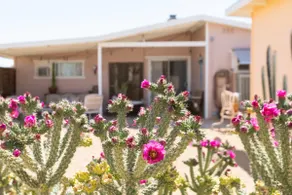 Vintage Bunny Den/Tiny House/Spa/Joshua Tree/Stars - Image 3