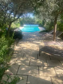 The whisper of the olive trees - Image 3