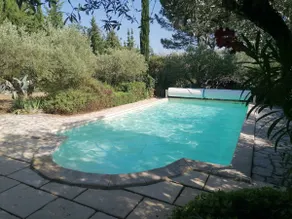 The whisper of the olive trees - Image 2