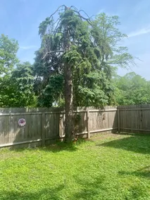 Historic Home Near Downtown - Image 4