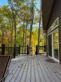 Pocono cabin and wild trout creek - Image 4