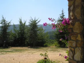 Villa Cresci Pool, Sassetta, Tuscany, wine & baths - Image 4