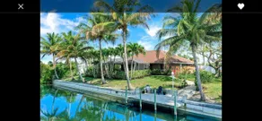 Sanctuary w/covered heated saltwater pool on canal - Image 4